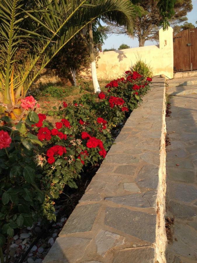 Villa The Stone House Potamos  Exterior foto